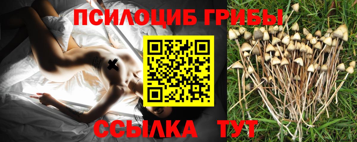 Галлюциногенные грибы прущие грибы Похвистнево
