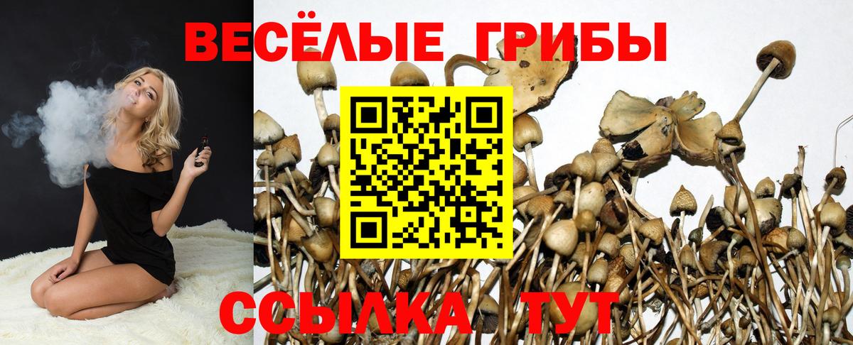 Похвистнево  Псилоцибиновые грибы мицелий  Вход с VPN  Псилоцибиновые грибы GOLDEN TEACHER 